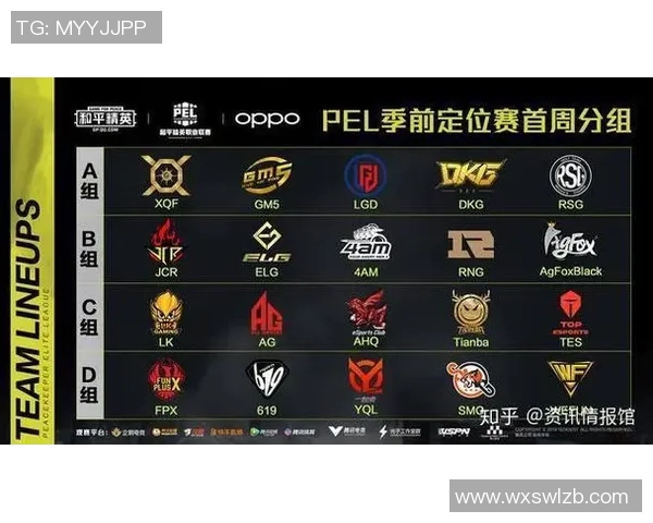 esports最新数据和平精英RNG配合引发热议玩家观点分歧分析